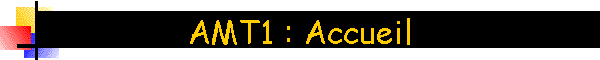 AMT1 : Accueil