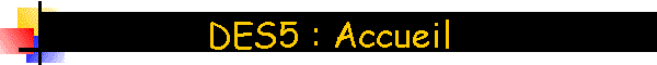 DES5 : Accueil