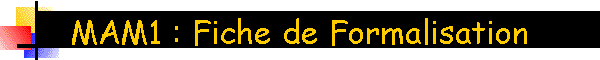 MAM1 : Fiche de Formalisation