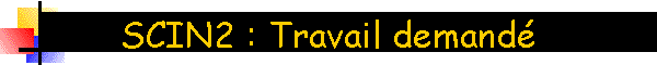 SCIN2 : Travail demand