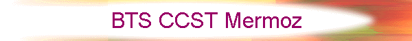 BTS CCST Mermoz